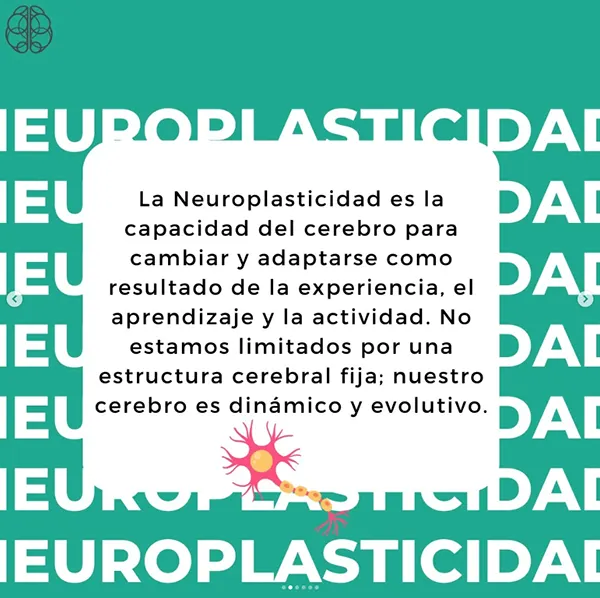 Carrusel sobre neuroplasticidad