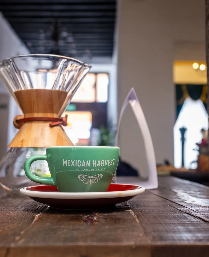 Café servido junto a un Chemex
