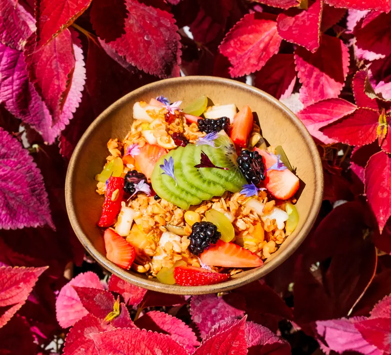 Bowl de fruta y granola entre hojas rojas